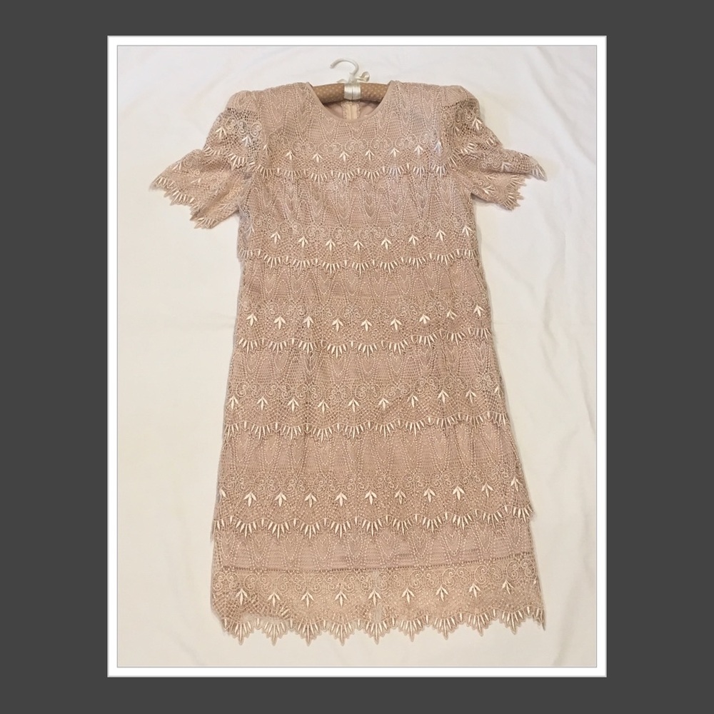 Stunning Layered Embroidery Cattiva NY Dress